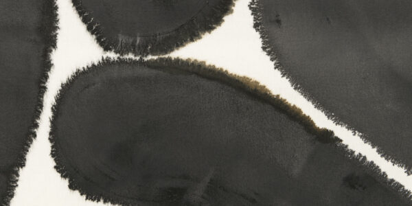 Detail van een schilderij met zwarte vormen met rafelige randen op een witte achtergrond, zoals uitvergrote beelden van microscopische schepsels. 

Detail of a painting of black shapes with rough edges on a white background, like blown-up images of microscopic beings.