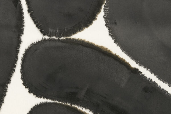 Detail van een schilderij met zwarte vormen met rafelige randen op een witte achtergrond, zoals uitvergrote beelden van microscopische schepsels. 

Detail of a painting of black shapes with rough edges on a white background, like blown-up images of microscopic beings.