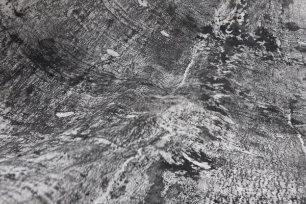 Abstracte zwart-wit afdruk van boomschorsen, die een patroon vol zwarte lijnen en vlekken op een witte achtergrond doet verschijnen. 

Abstract monochrome print of tree barks, creating a pattern of black lines and spots on a white background.