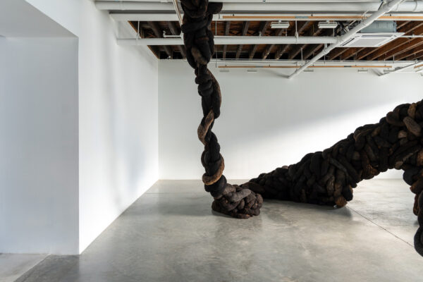 Tentoonstellingsruimte met witte muren en lichtgrijze vloer, met daarin grote, zwart-bruine tentakelachtige vormen die van vloer tot plafond lijken te hangen. 

Exhibition space with white walls and light grey floor, with huge, black and brown, tentacle-like shapes that seem to hang from floor to ceiling.