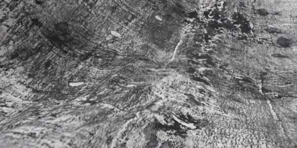 Abstracte zwart-wit afdruk van boomschorsen, die een patroon vol zwarte lijnen en vlekken op een witte achtergrond doet verschijnen. 

Abstract monochrome print of tree barks, creating a pattern of black lines and spots on a white background.